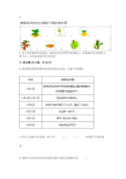 教科版科学四年级下册第一单元《植物的生长变化》测试卷带答案.docx