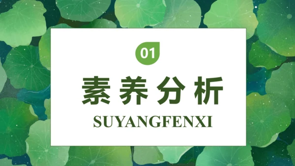 【核心素养】部编版语文一年级下册-12. 荷叶圆圆 第1课时（课件）