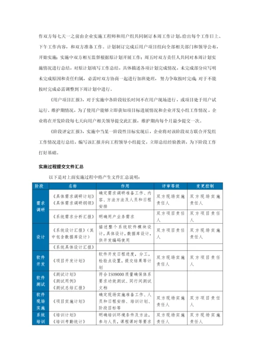 软件综合项目实施管理专题计划.docx