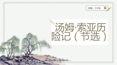 7 汤姆·索亚历险记（节选） 课件