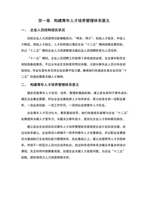 公司青年人才培养专业方案.docx