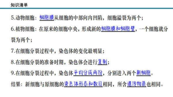 人教版生物七年级上册第一单元《生物与细胞》单元复习课件(共53张PPT)