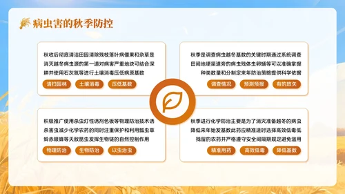黄色插画风秋分农事农业培训PPT模板