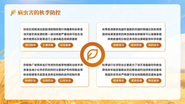黄色插画风秋分农事农业培训PPT模板