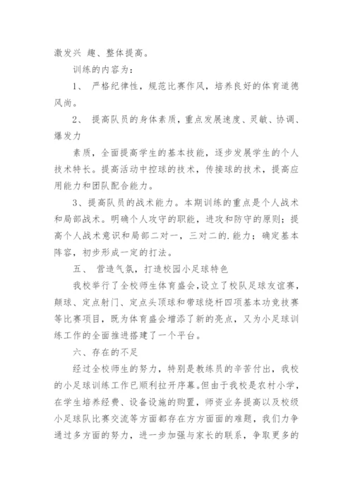 小学足球训练总结.docx