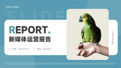 绿色简洁创意新媒体运营报告PPT模板