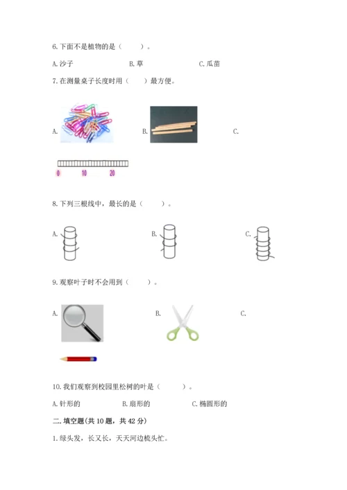 教科版一年级上册科学期末测试卷（基础题）.docx