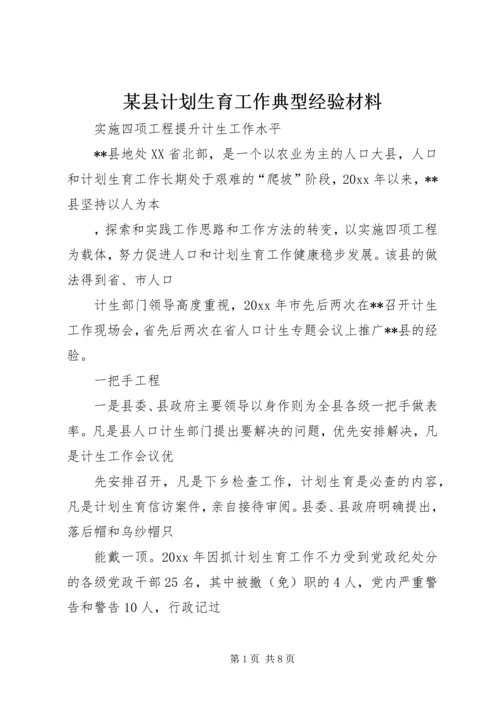 某县计划生育工作典型经验材料.docx