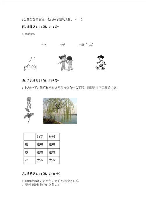 教科版科学一年级上册期末测试卷新版