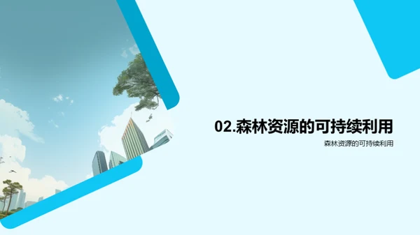 森林宝藏：可持续之道