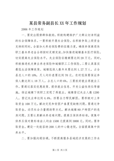 某县常务副县长XX年工作规划.docx