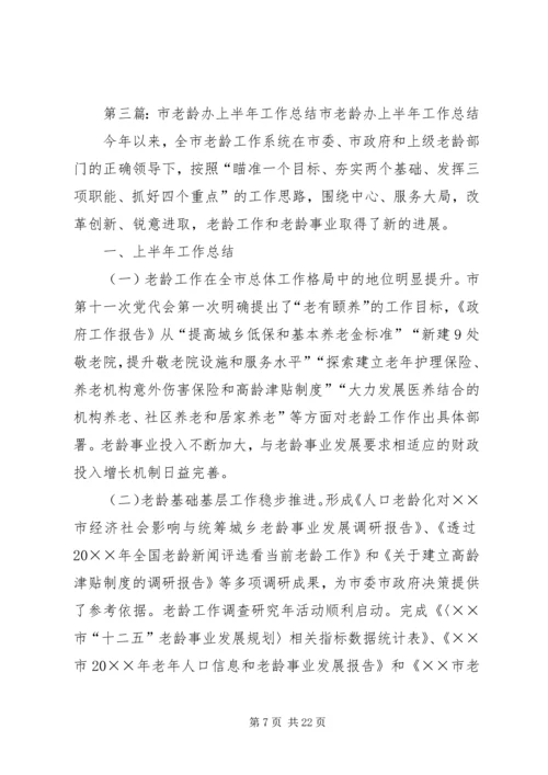 市老龄办年度工作计划 (2).docx