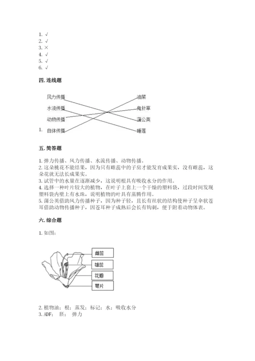 科学四年级下册第一单元植物的生长变化测试卷【满分必刷】.docx