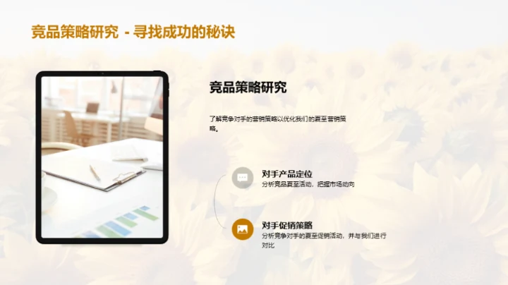 夏至营销战略解析