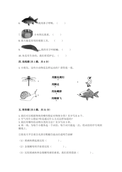 教科版一年级下册科学期末测试卷精品【能力提升】.docx