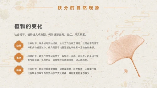 淡橙色简约中国风秋分节气PPT模板