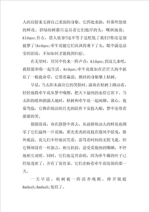 中考想象作文