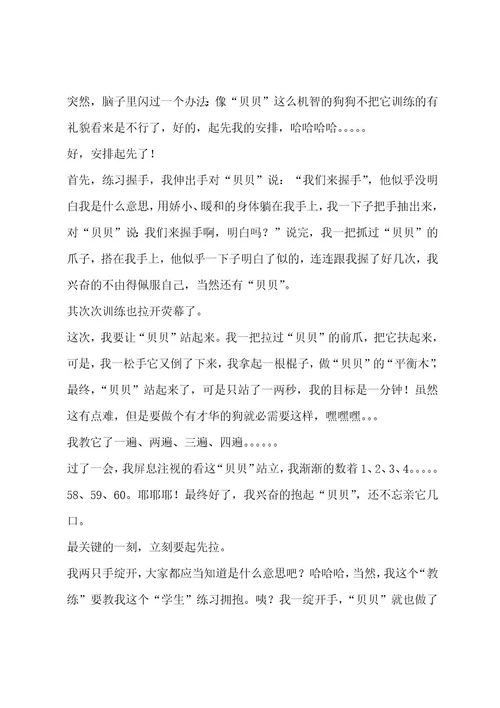 小狗作文汇编11篇作文