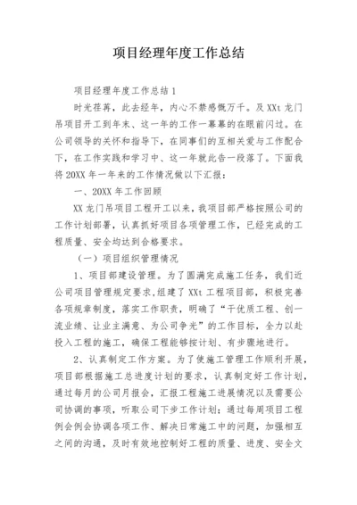 项目经理年度工作总结.docx