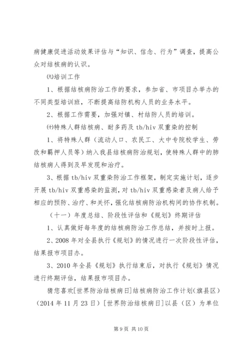 旗县区结核病防治实施计划.docx