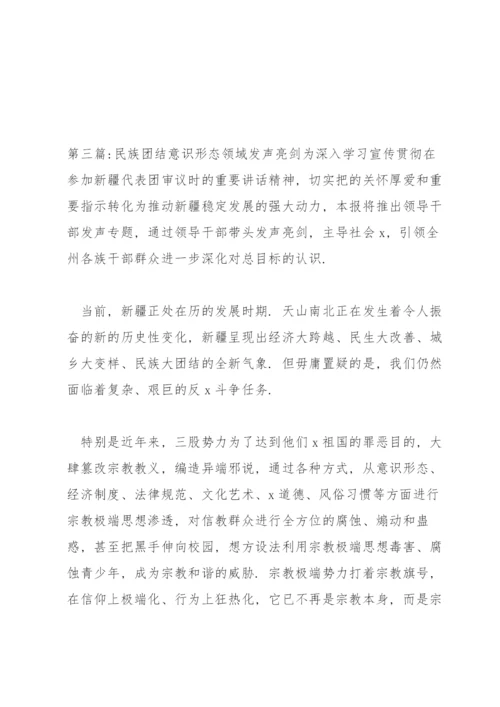 民族团结意识形态领域发声亮剑范文三篇.docx