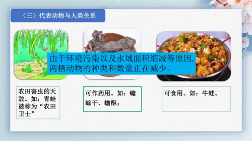2.2.2脊椎动物（第2课时两栖动物和爬行动物）-七年级生物上册同步优质备课系列（人教版2024新教