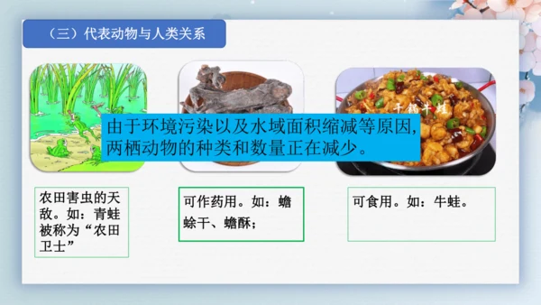 2.2.2脊椎动物（第2课时两栖动物和爬行动物）-七年级生物上册同步优质备课系列（人教版2024新教