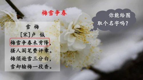 统编版语文2024-2025学年四年级上册9 古诗三首   课件
