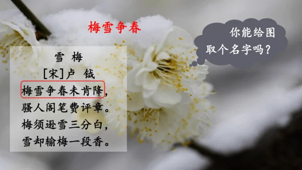 统编版语文2024-2025学年四年级上册9 古诗三首   课件