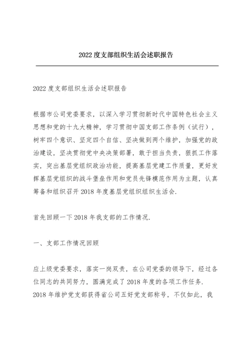 2022度支部组织生活会述职报告.docx