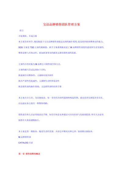 企业品牌销售团队管理专题方案.docx