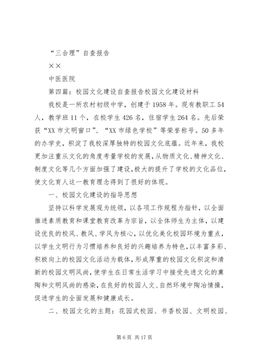 合理文化建设自查报告.docx