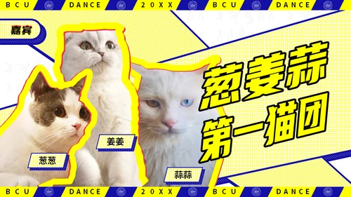动感抖音风北京城市学院社团活动通用PPT模板