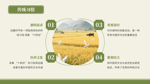绿色中国风风格白露秋俗韵味悠长PPT模板