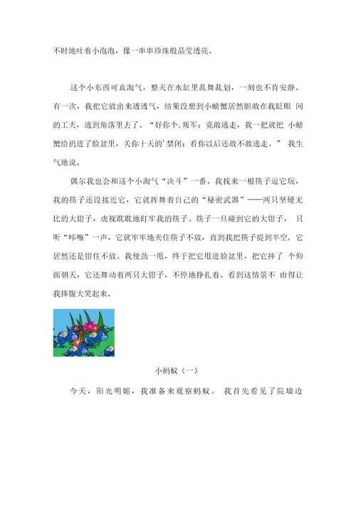 描写小动物的作文。