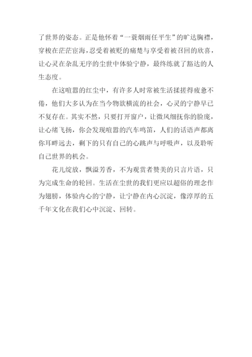 体验宁静作文800字.docx