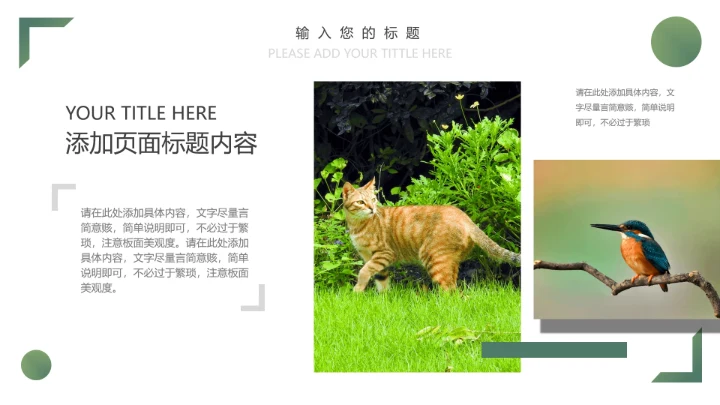 人与自然大熊猫活动宣传通用PPT模板