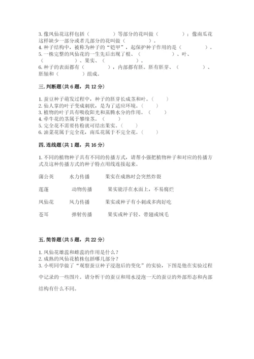 教科版四年级下册科学第一单元《植物的生长变化》测试卷及答案（有一套）.docx