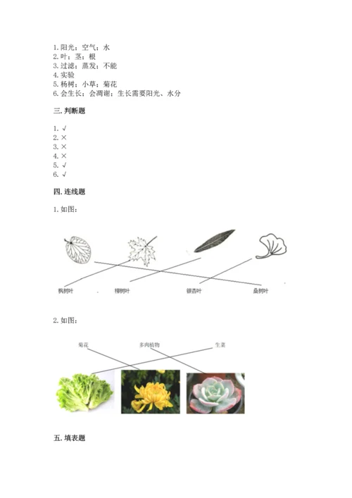 教科版科学一年级上册第一单元《植物》测试卷及参考答案【模拟题】.docx