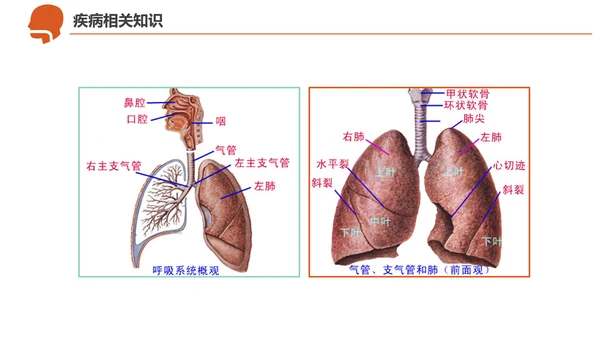 急诊急救工作呼吸衰竭病例创救患者PPT模板