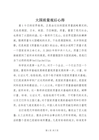 大国质量观后心得.docx