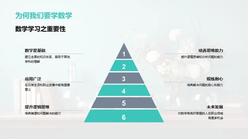 初三数学学习透视