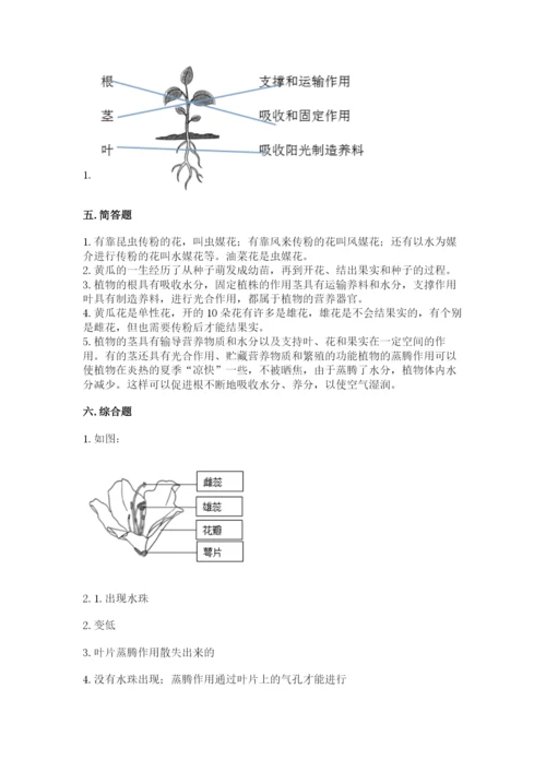 科学四年级下册第一单元植物的生长变化测试卷含答案【名师推荐】.docx