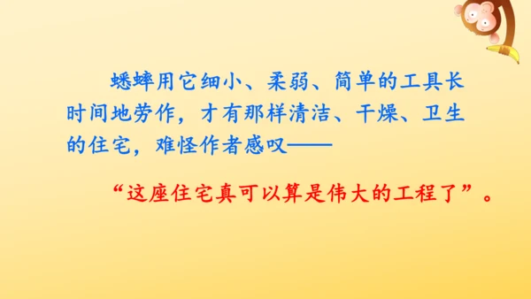 11 蟋蟀的住宅  课件