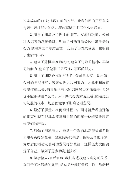 试用期总结及转正申请