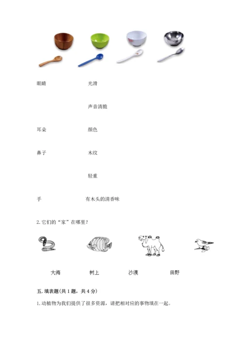 教科版二年级上册科学期末测试卷附答案（精练）.docx