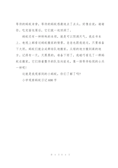 小学观察蚂蚁日记600字5篇.docx