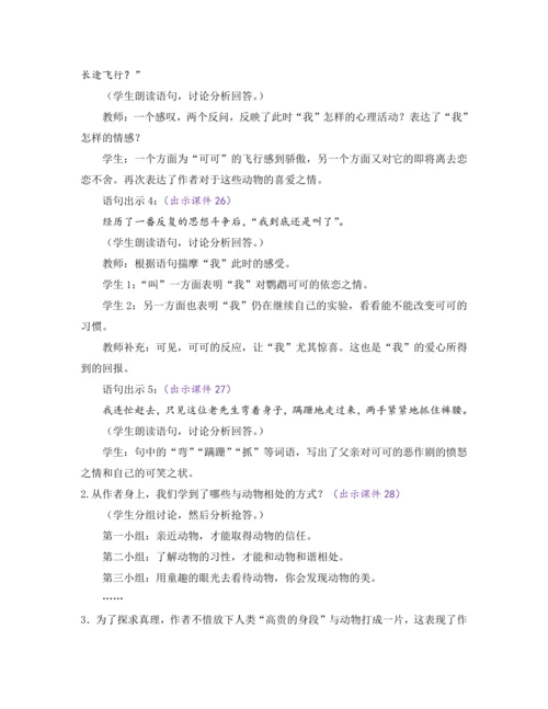 部编版七年级语文上册教案 第五单元 17 动物笑谈