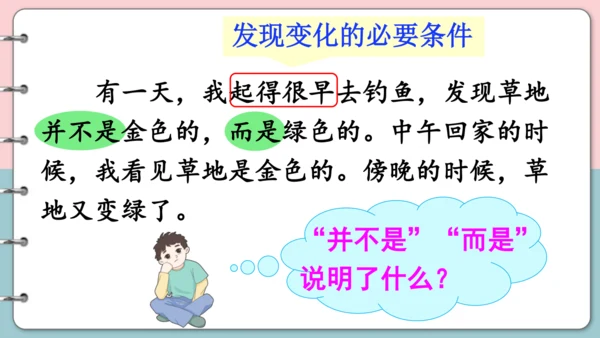 第16课《金色的草地》（第二课时）课件