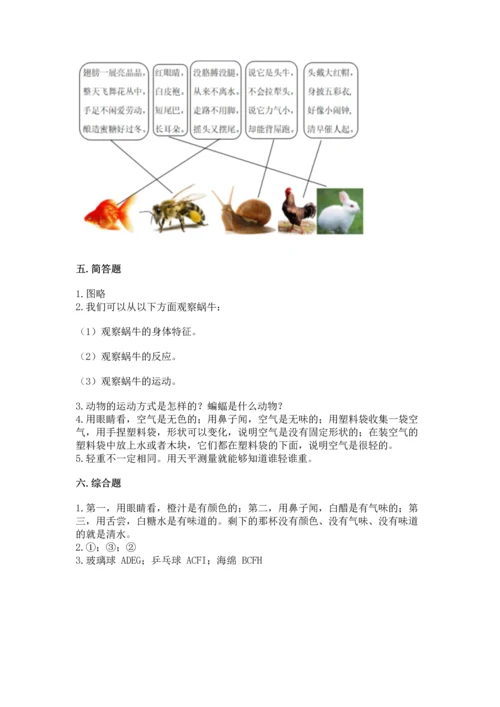 教科版一年级下册科学期末测试卷附参考答案（考试直接用）.docx
